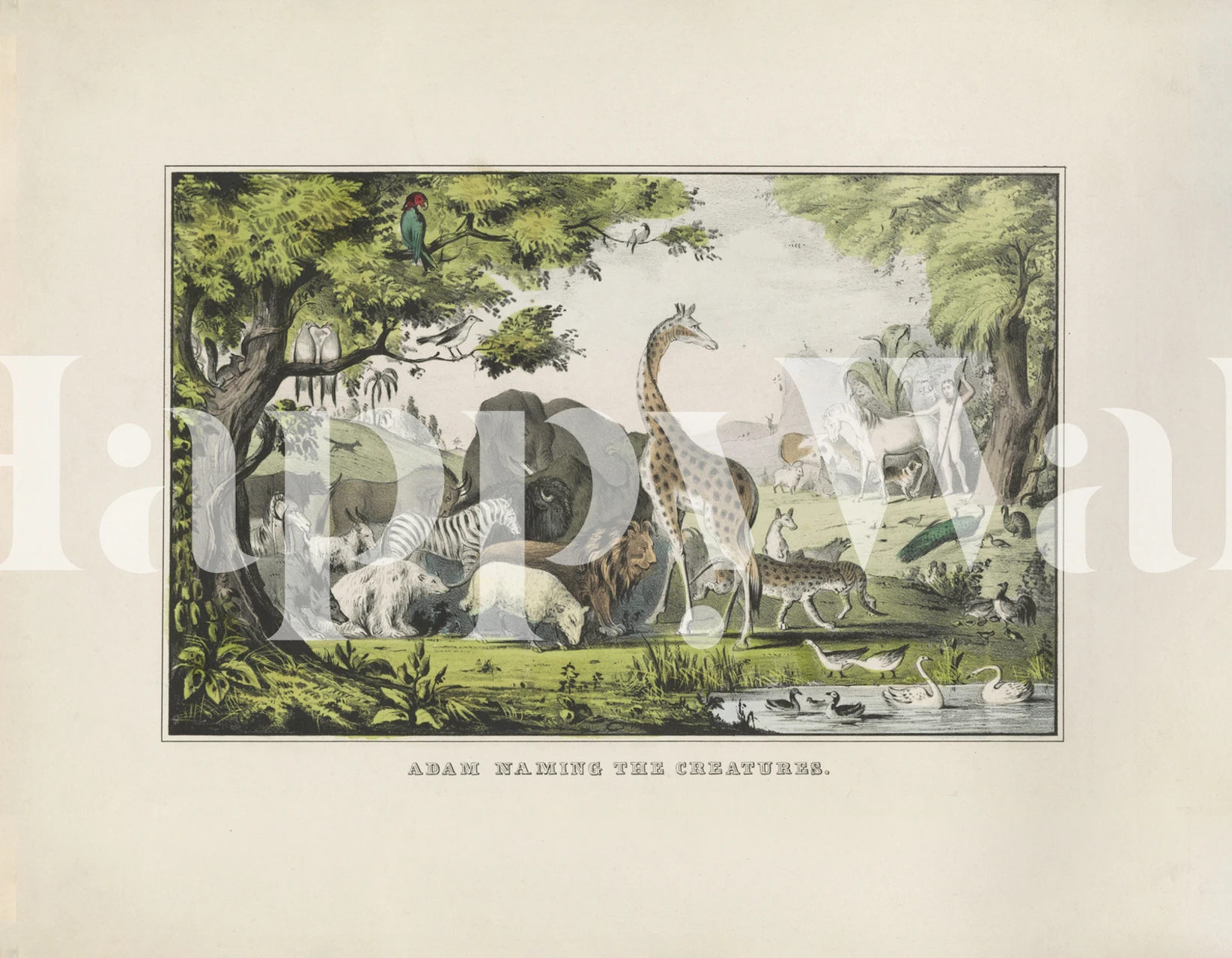 Wallpaper featuring Adam naming the creatures