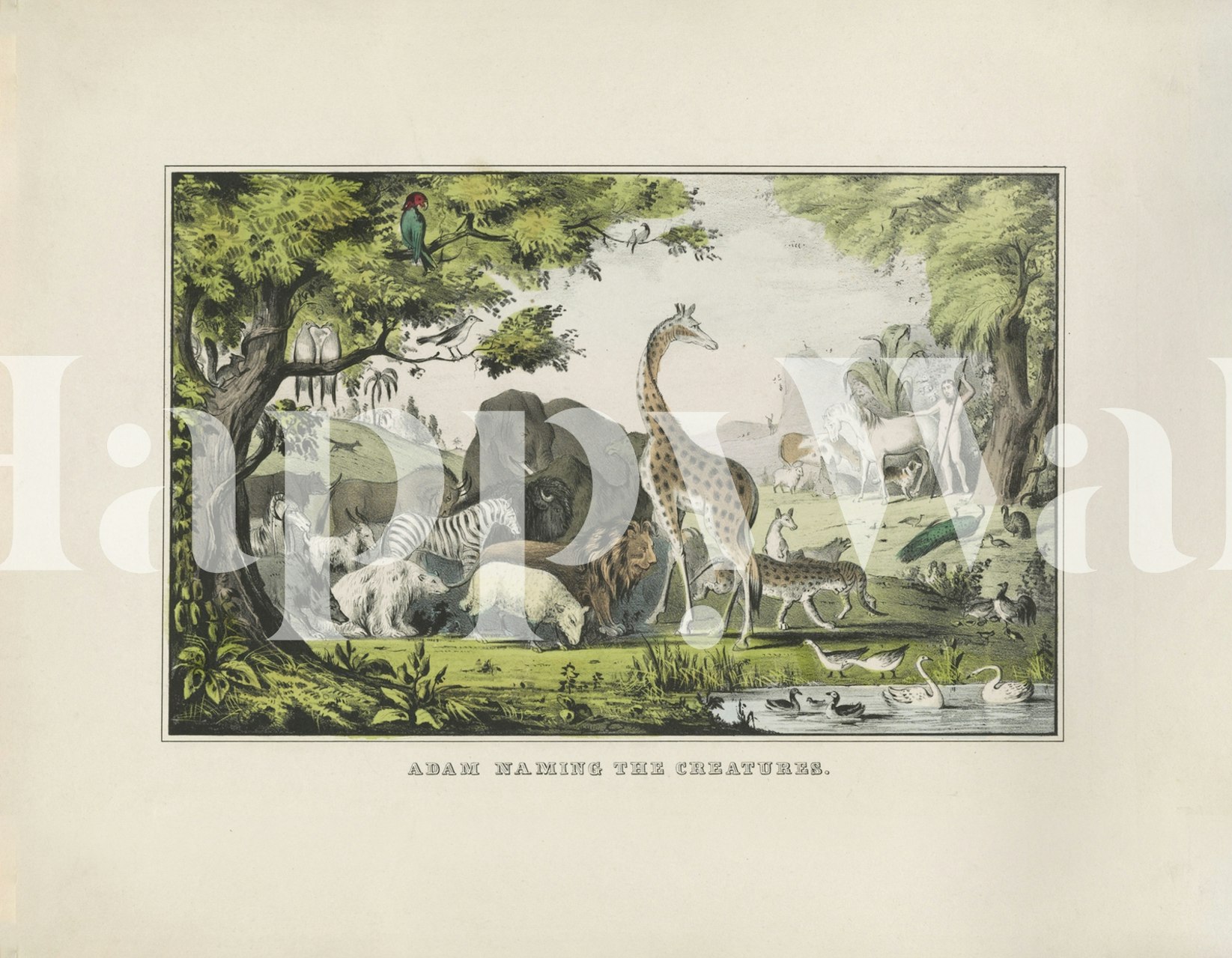 Wallpaper featuring Adam naming the creatures