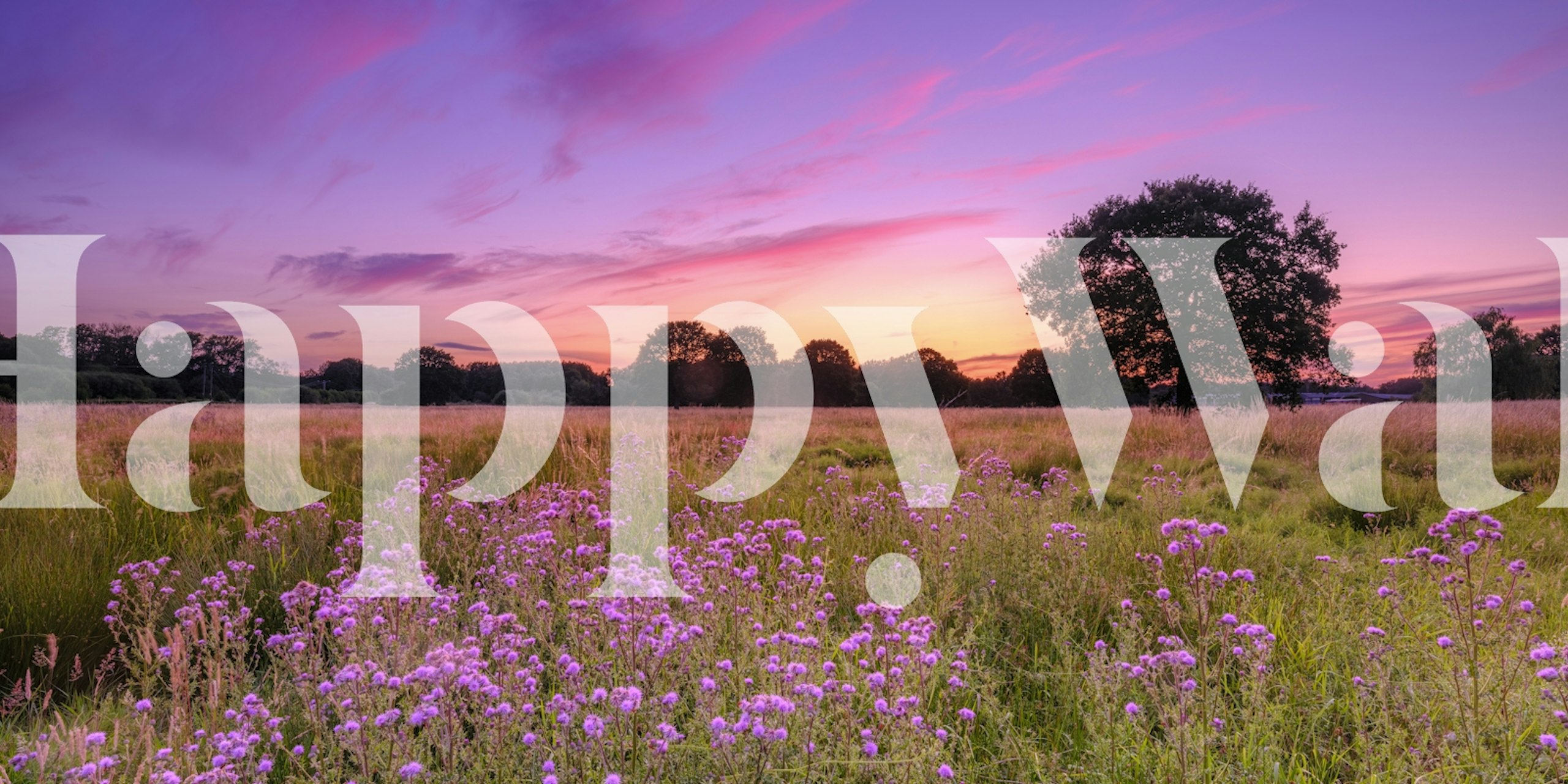 Meadow Basks in Sunset wallpaper in a room