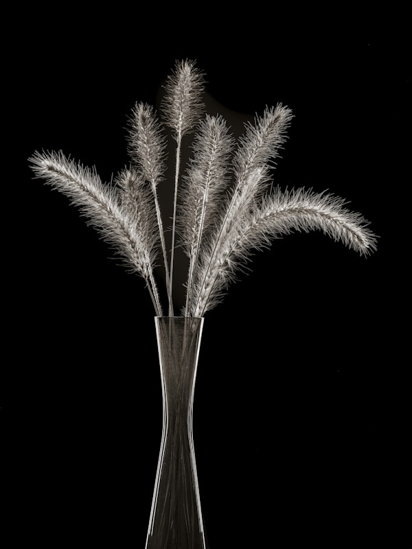 Foxtail Grass Centerpiece