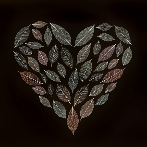 Leaves Heart
