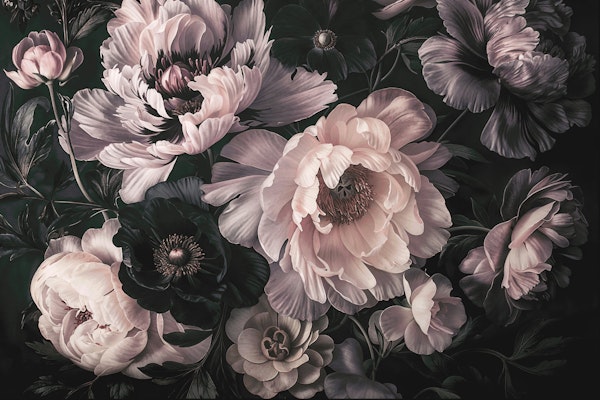 Dark Moody Floral Baroque Blush Black