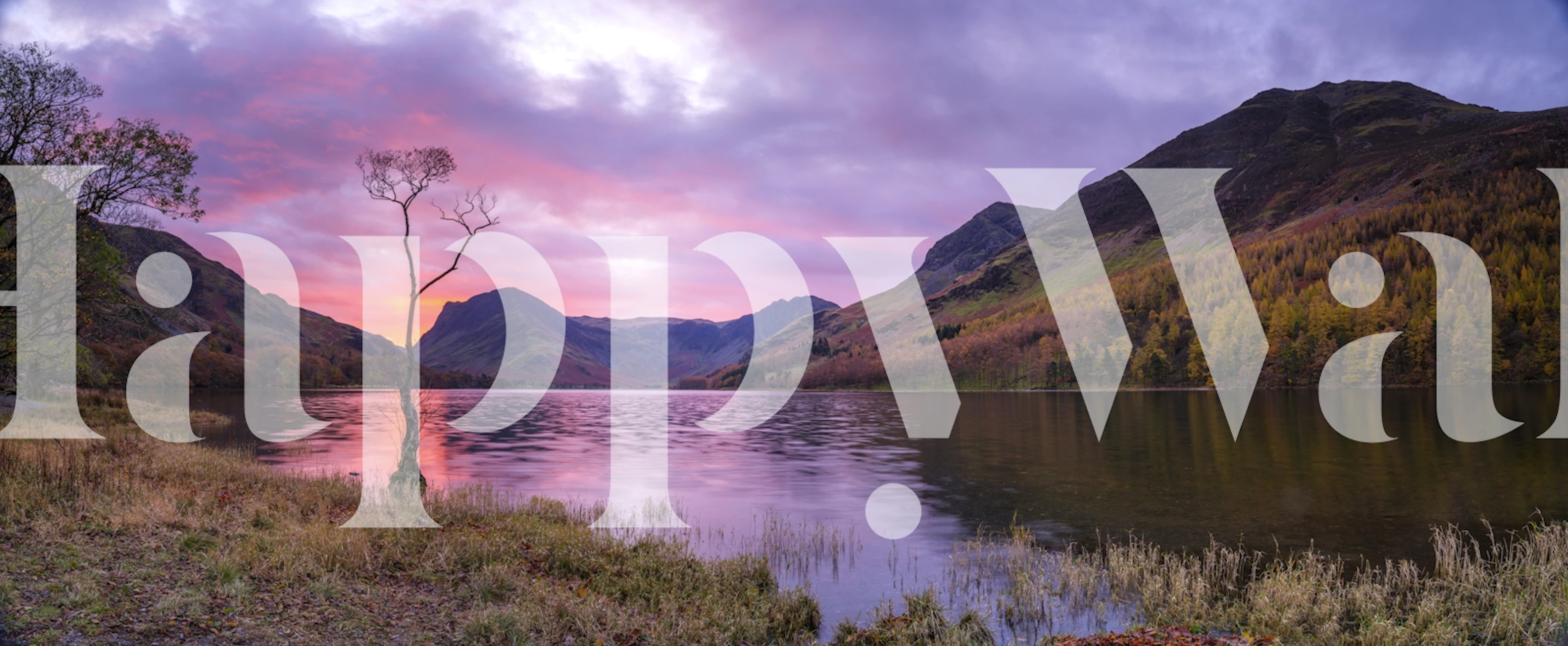 Carta da parati Serene Scene in una stanza