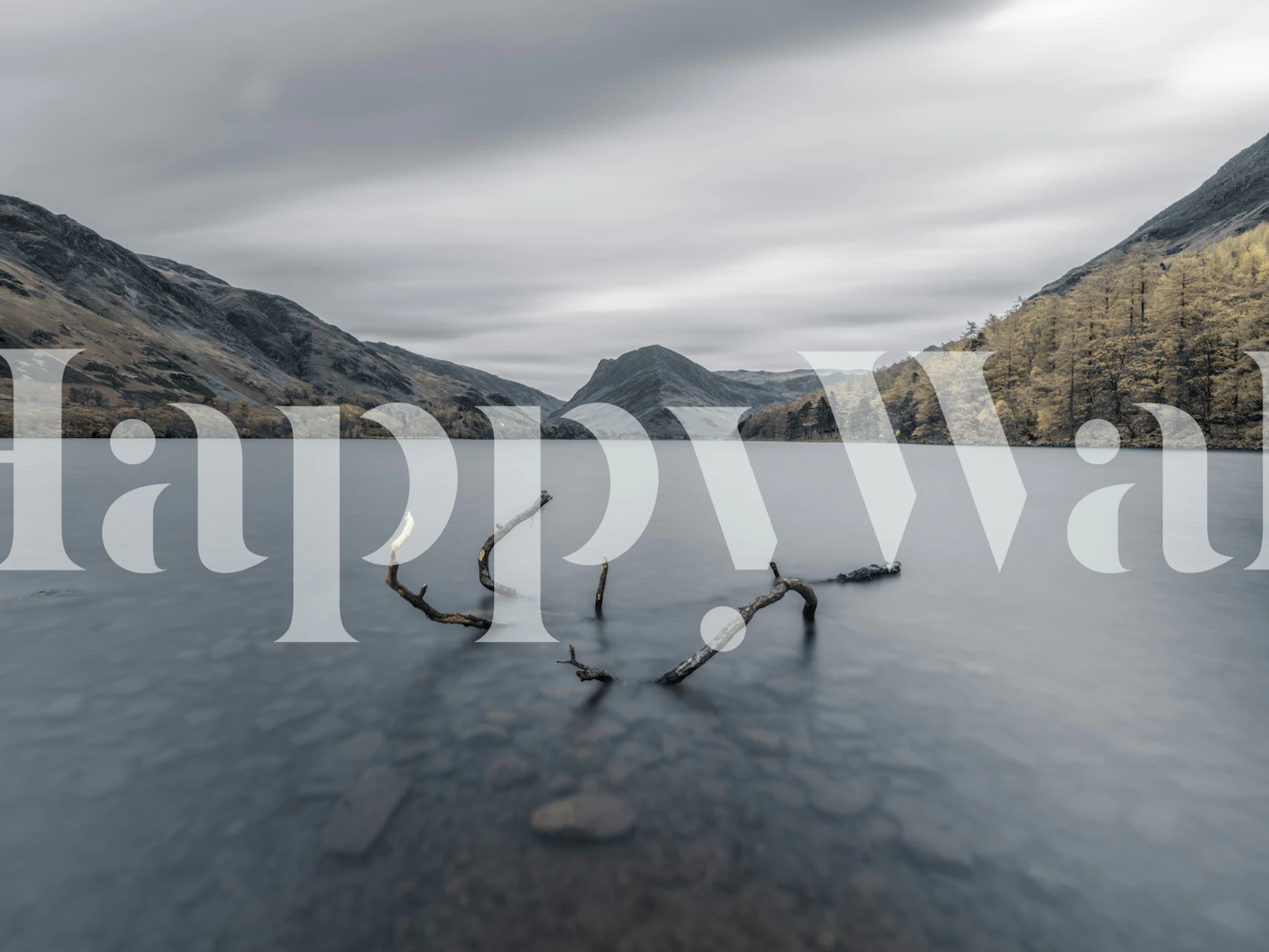 Black and white mountain landscape design wallpaper