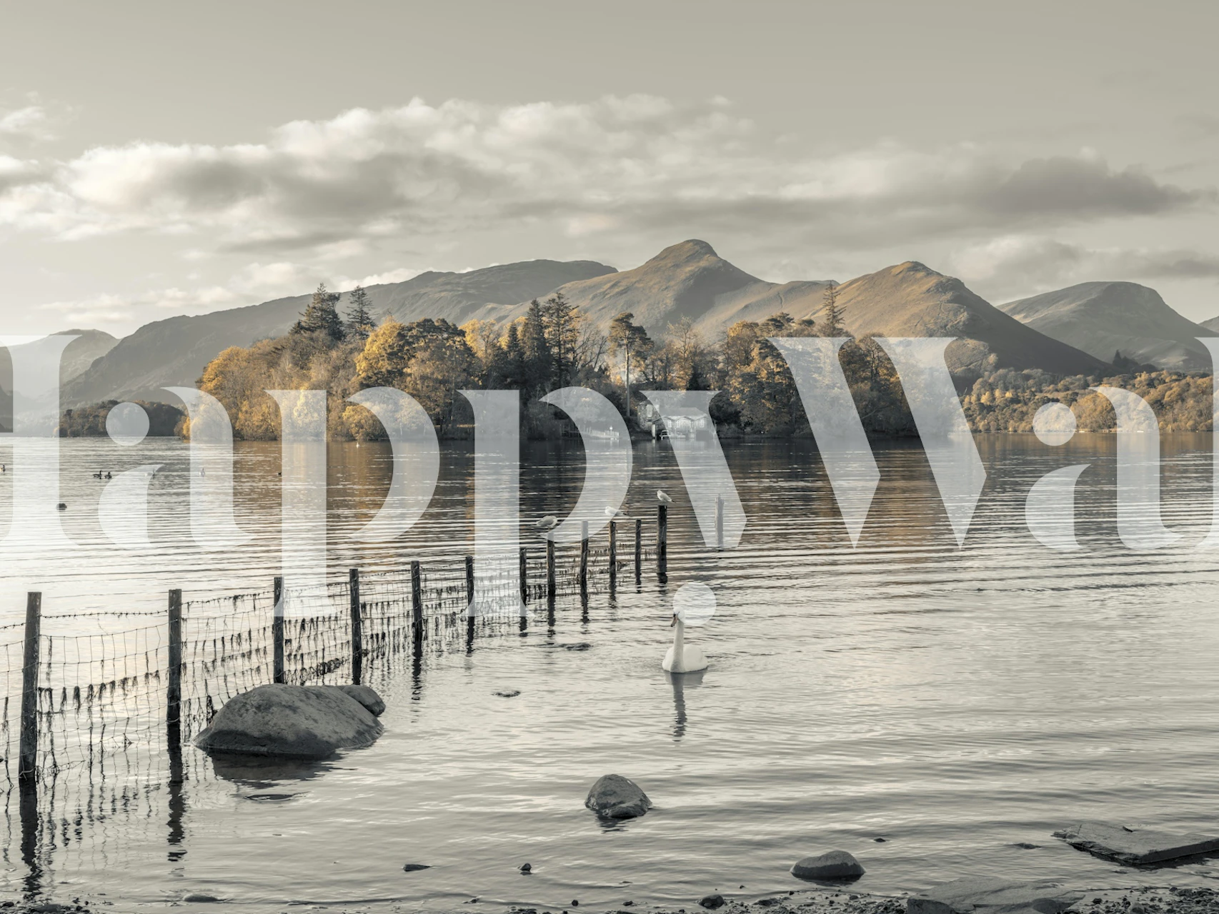 Morning lake wallpaper in a room