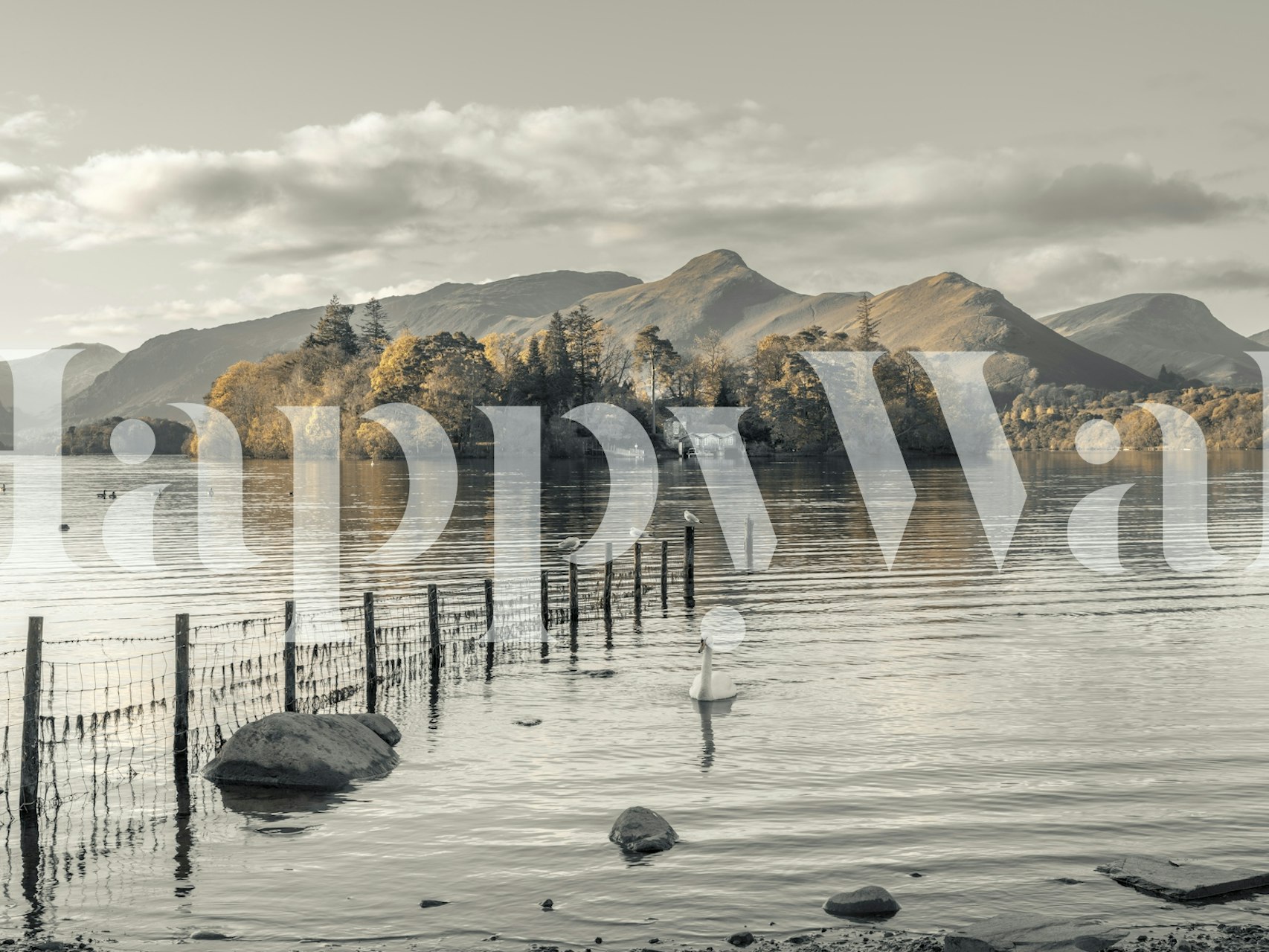 Carta da parati Morning Lake in una stanza