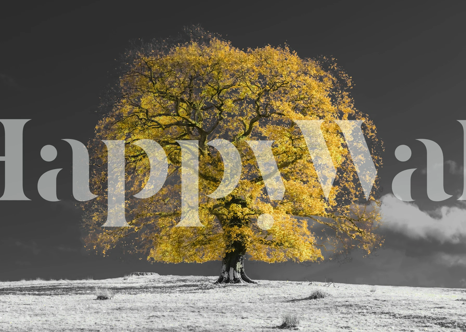 Papel tapiz Nighttime Glow en una habitación