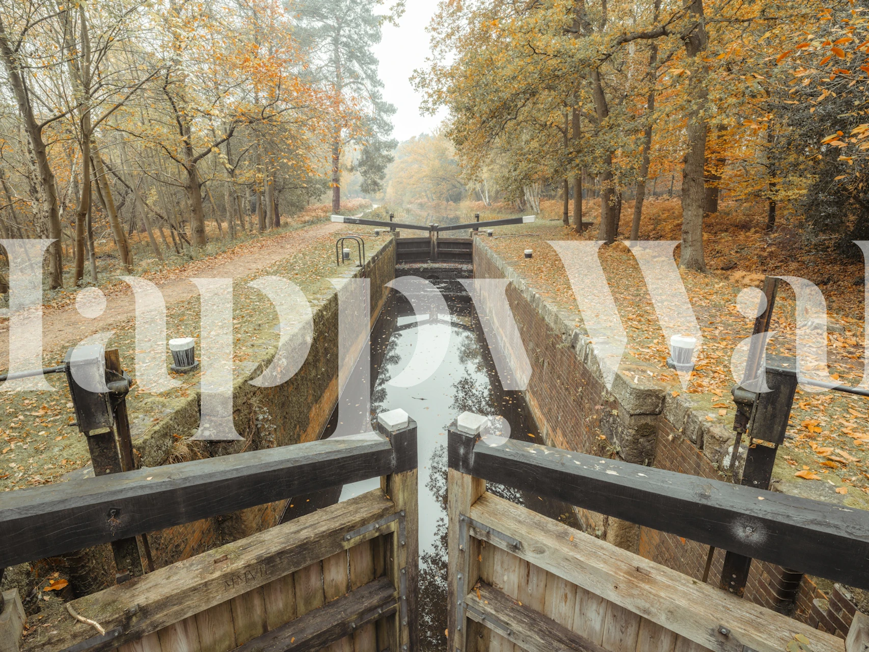 Autumn forest canal wall mural with wooden lock gate