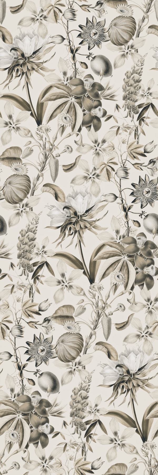 Tropical Bloom Serenade Exotic Florals Ivory