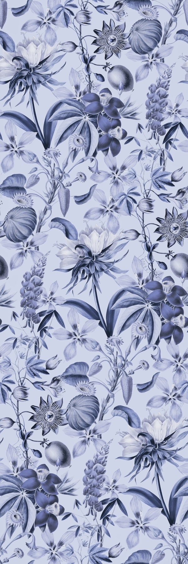 Tropical Bloom Serenade Exotic Florals Blue