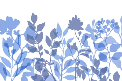 Mural