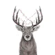 Xmas deer II