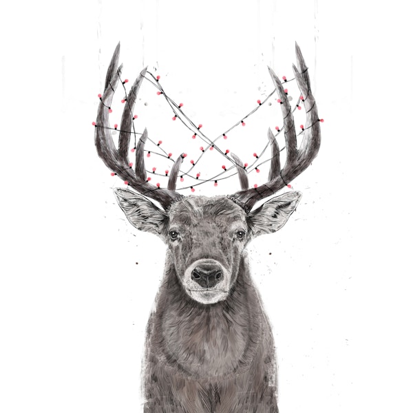 Xmas deer II