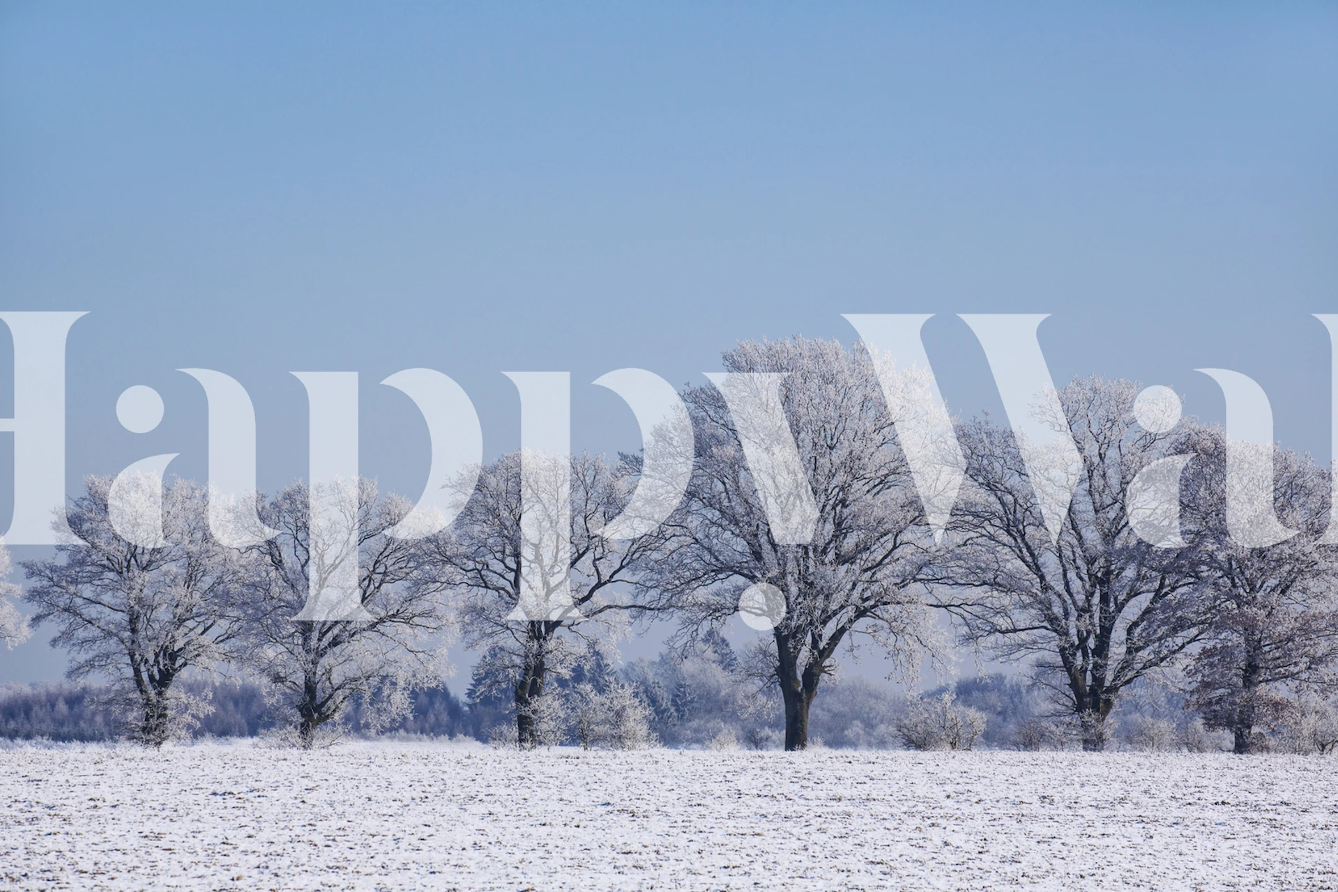 Winterly landscape with trees wallpaper design