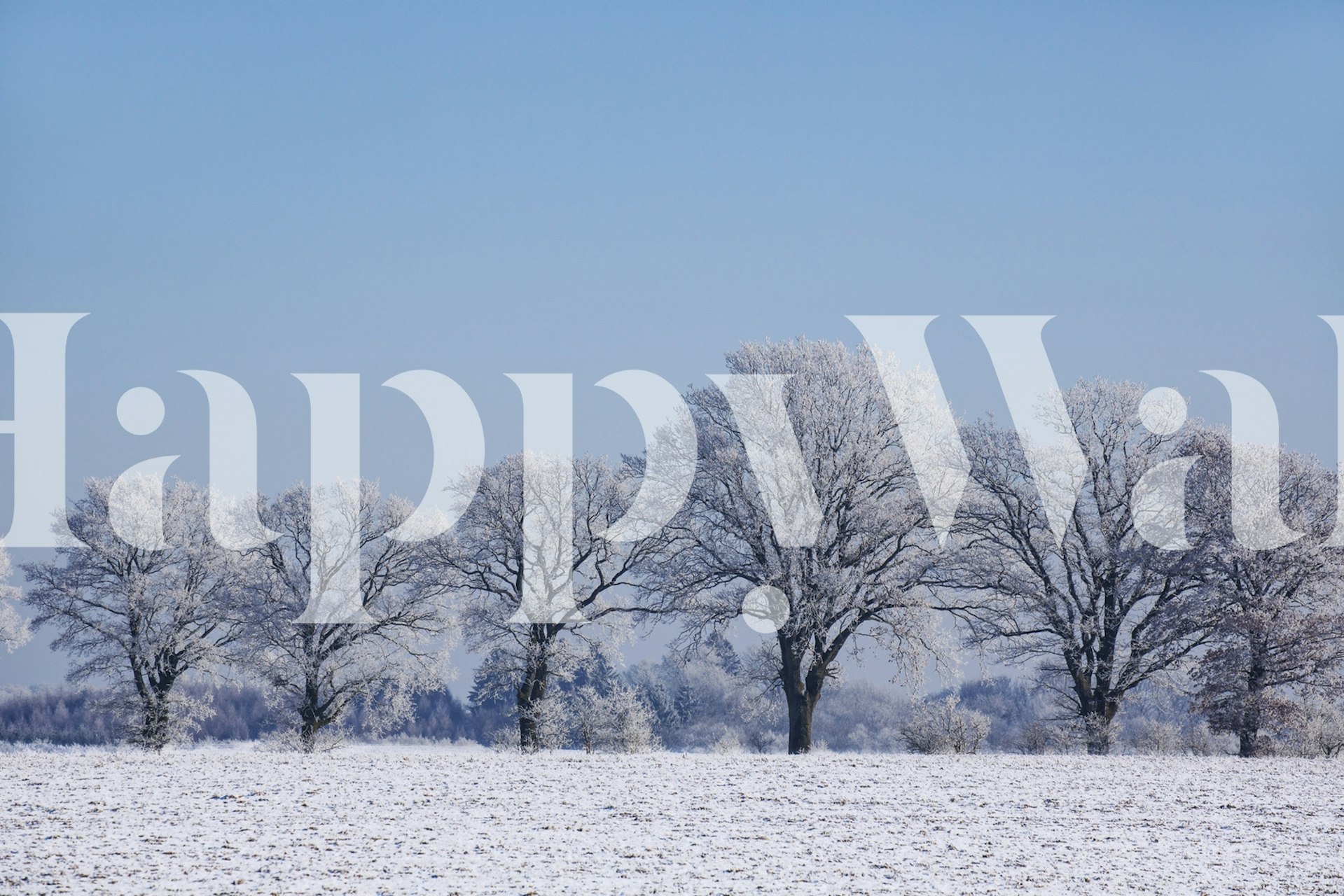 Winterly landscape with trees wallpaper design