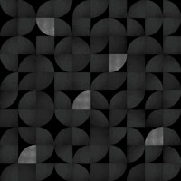 Mid-Century Black and Silver Luxury Pattern tapetit