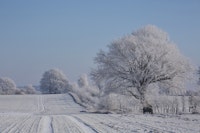 Winter Landscape ταπετσαρία