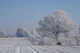 Winter Landscape