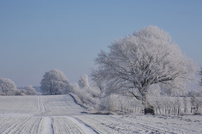 Wandgemälde