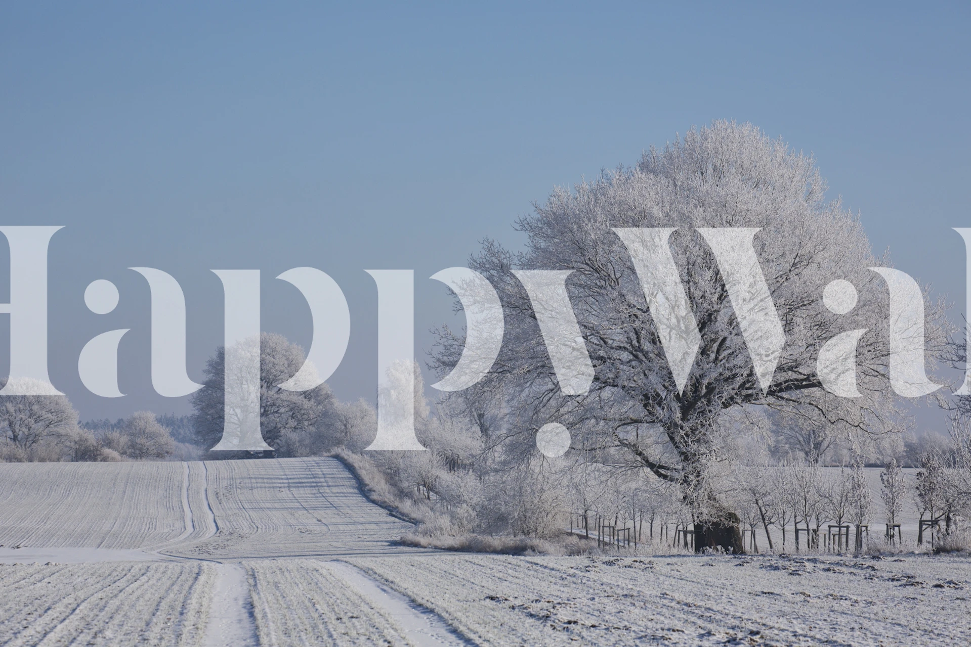 Snowy winter landscape with frosty trees and blue sky wallpaper