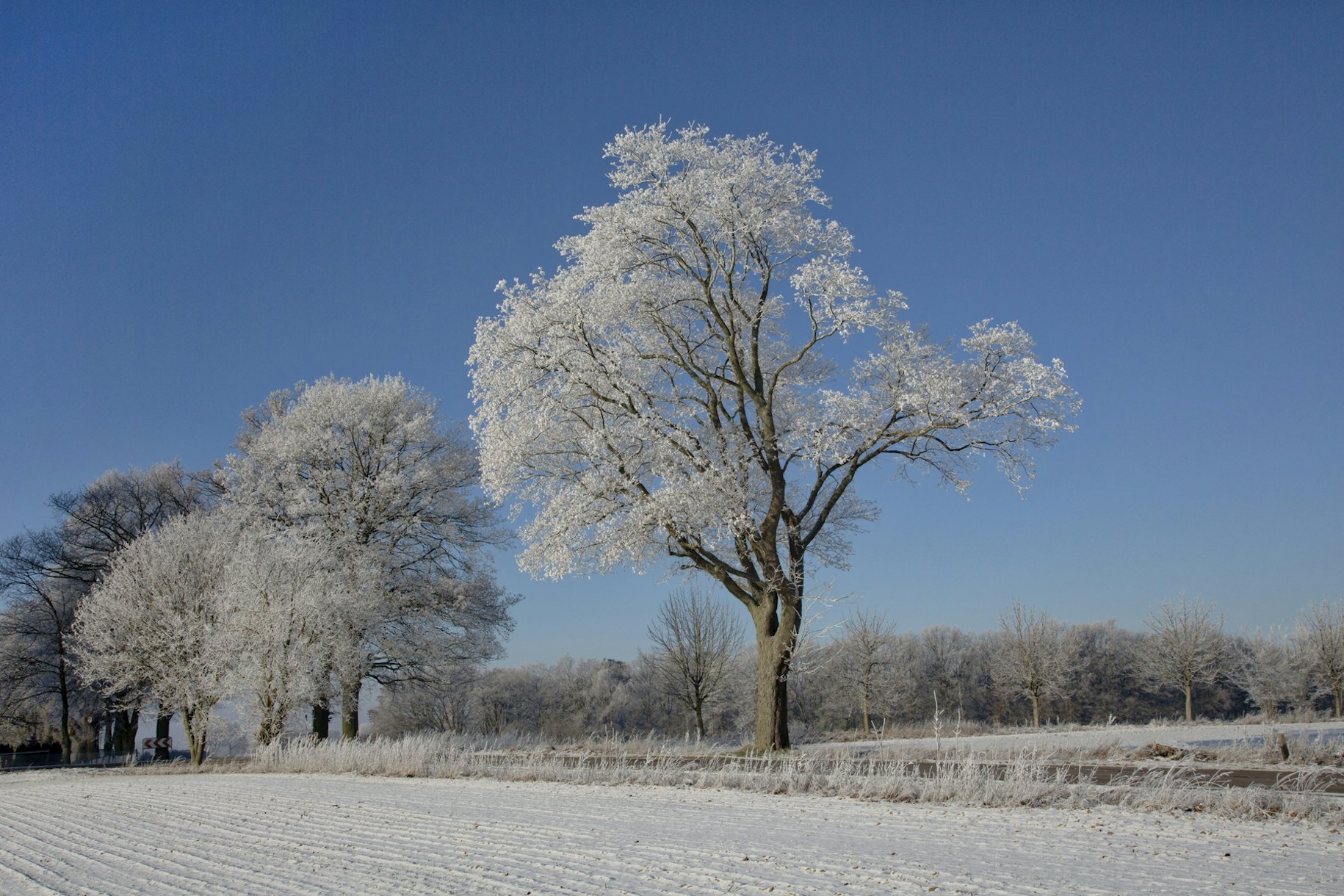 Winter Landscape Rural Germany wallpaper - Happywall