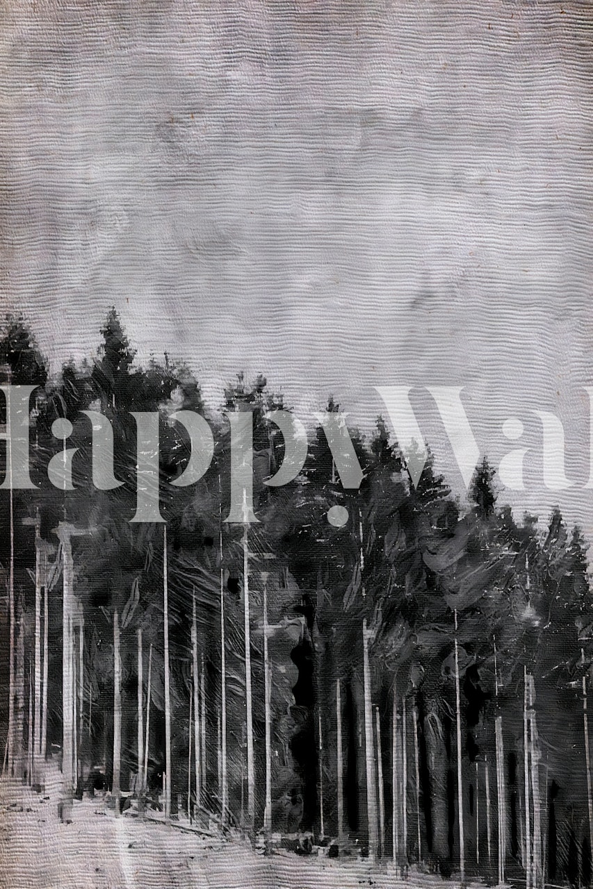 Gray pine tree forest wallpaper with tall trees