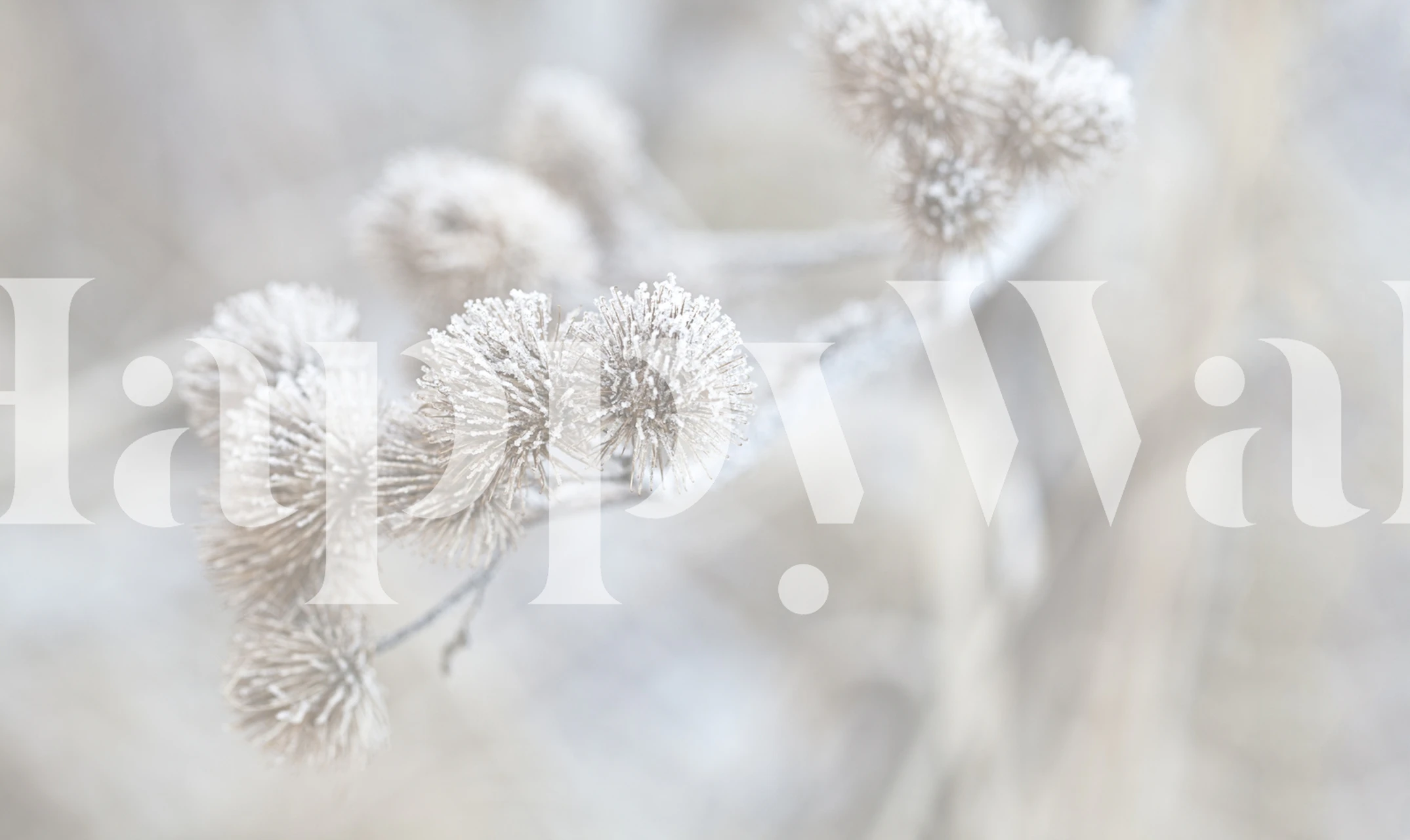 Frosted white thistle floral pattern wallpaper
