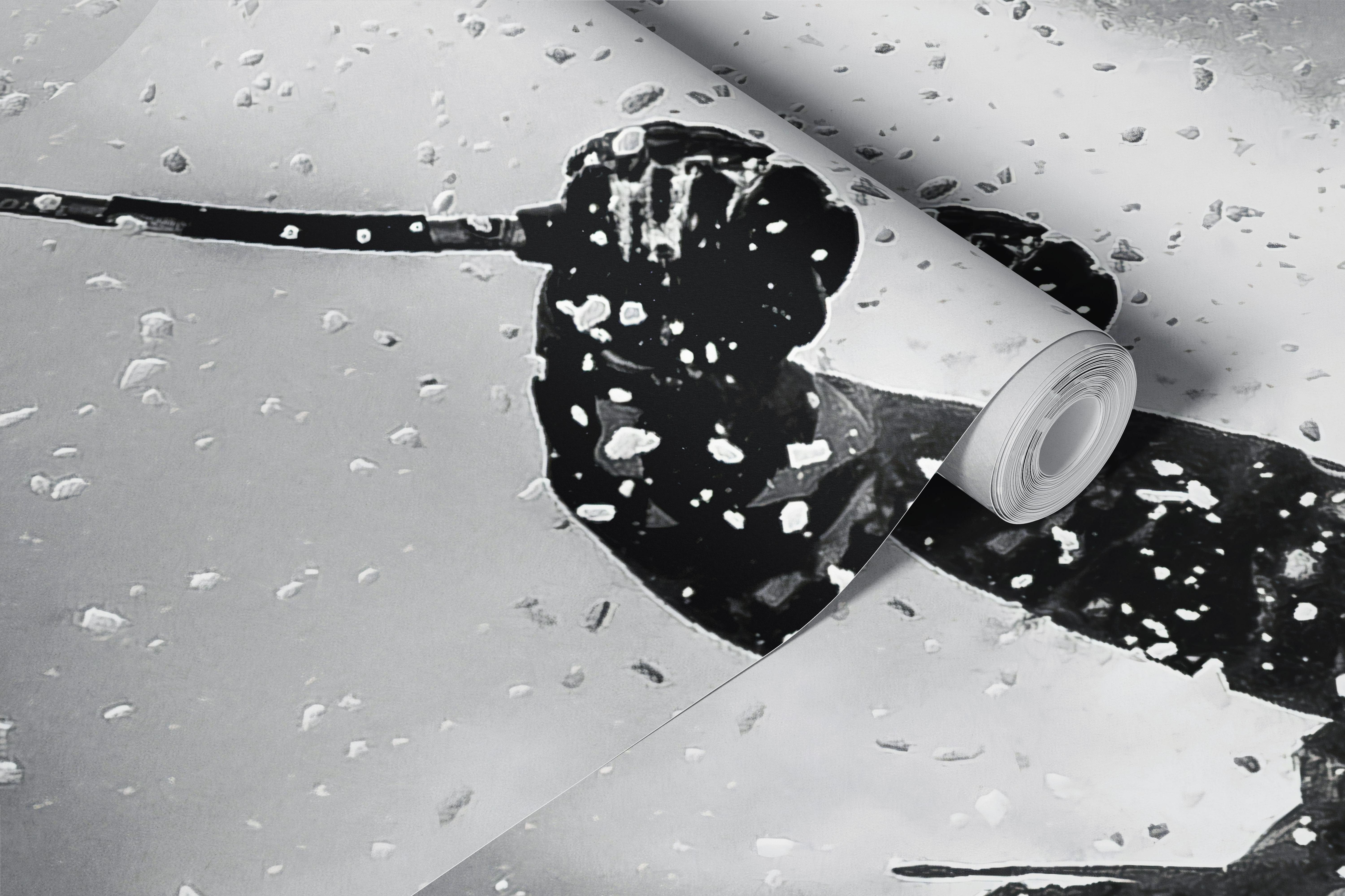 Black and white skier wallpaper in a room