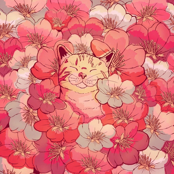 The cherry blossom cat