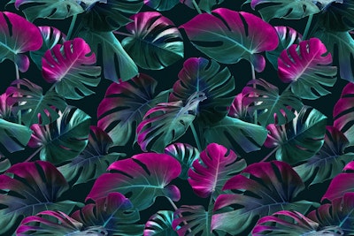 Mural