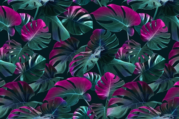 Tropical Monstera Leaf Garden