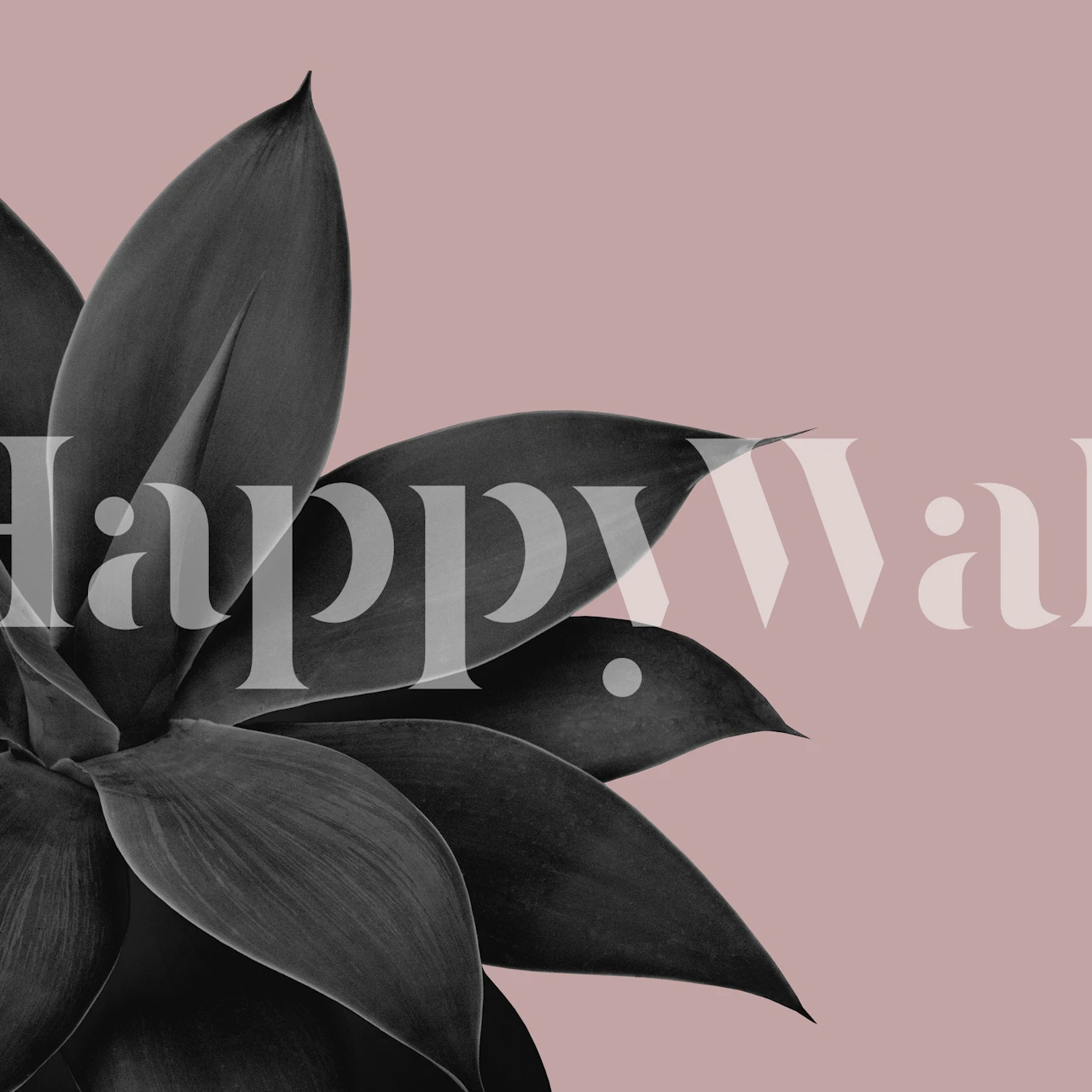 Agave Finesse 14 tapeta v pokoji