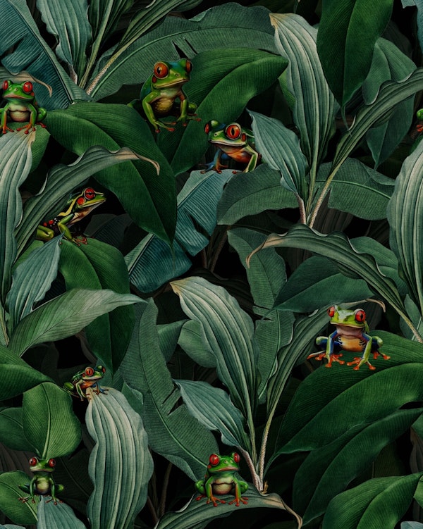Treefrogs In Exotic Midnight Rainforest