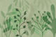 Tropical Leaf Layers Green