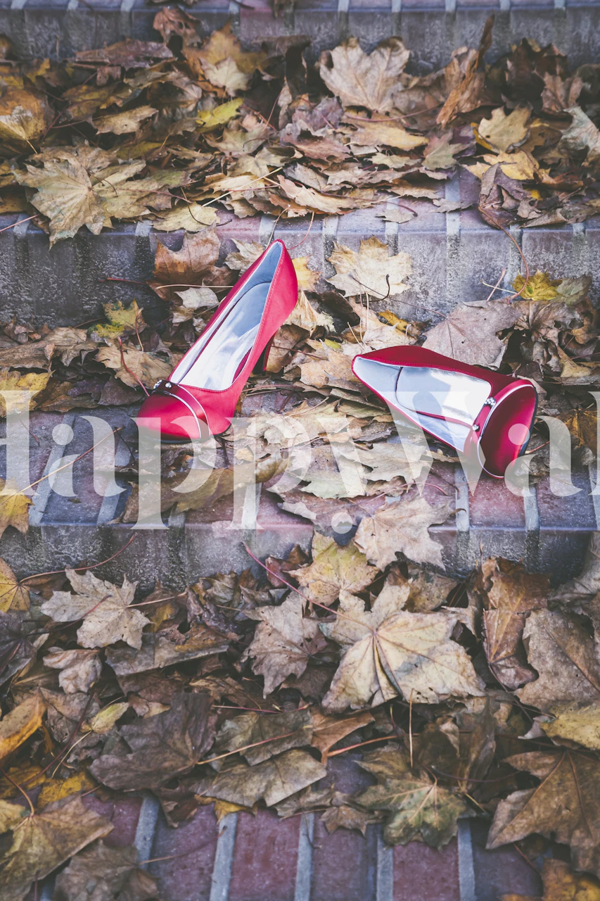 Red shoes wallpaper displayed in a room