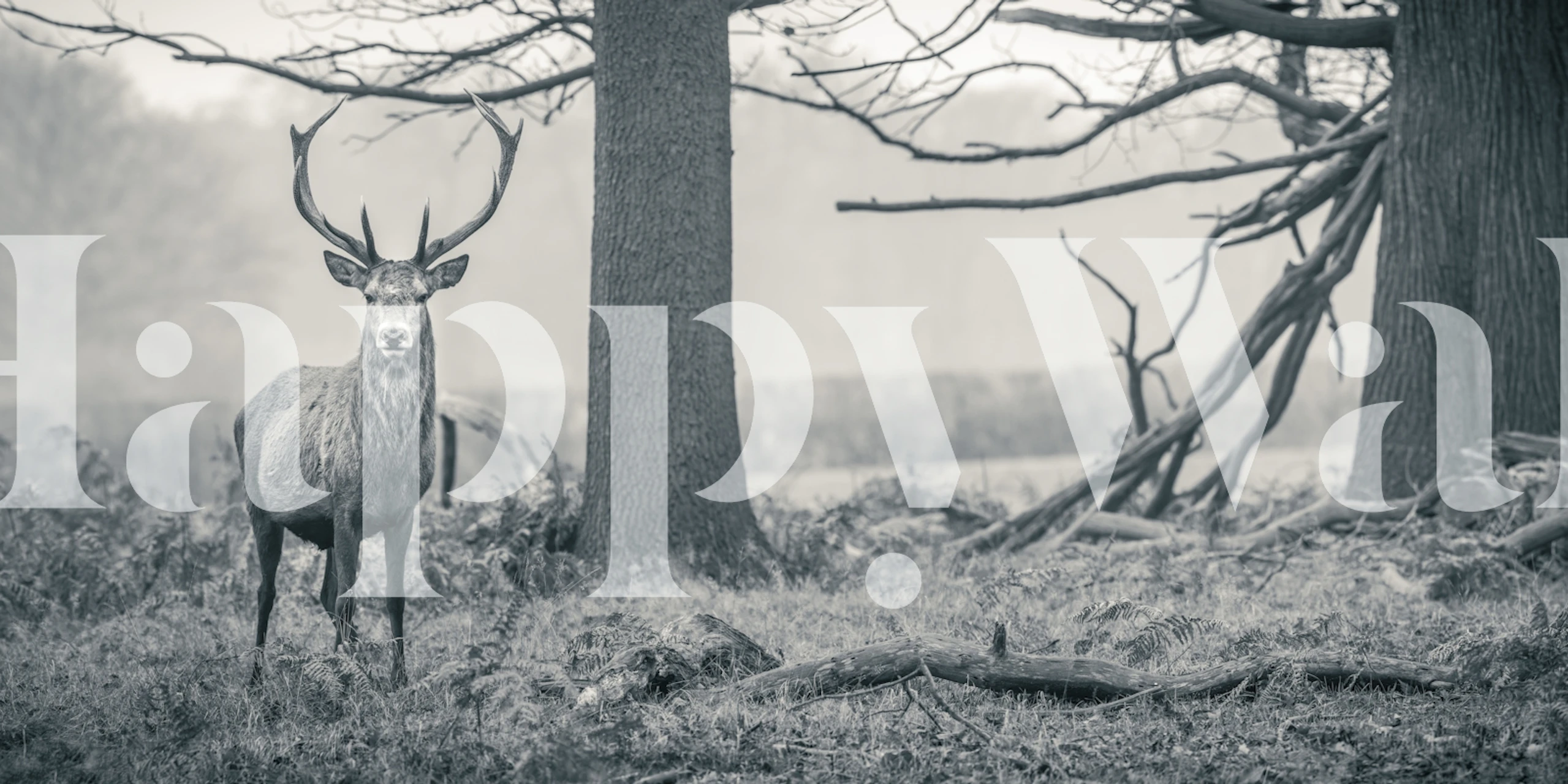 Black and white stag wallpaper featuring trees and foliage