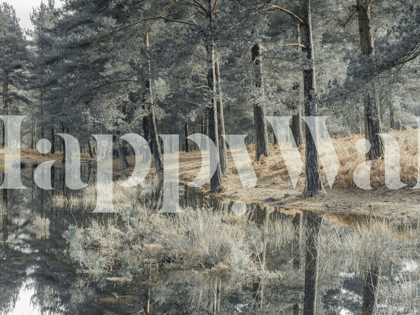 Serene Quiet Haven wallpaper design