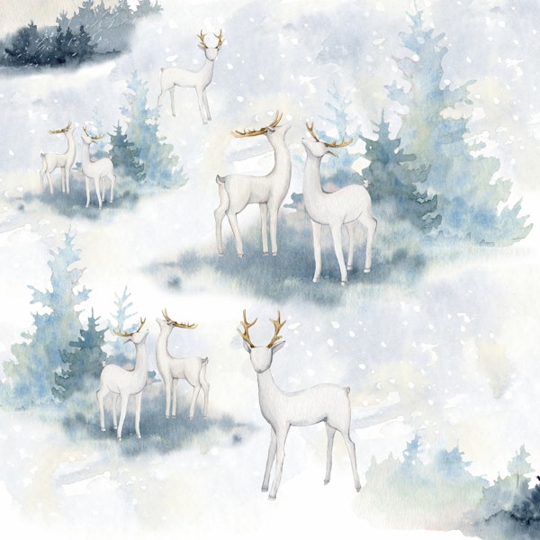 Winter Forest With Snow