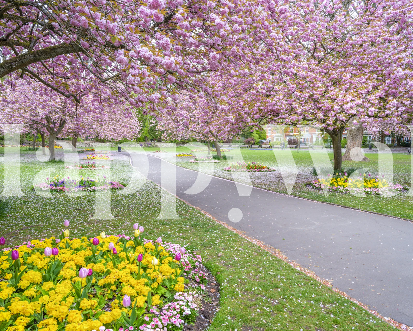 Carta da parati Park Prettiness in una stanza