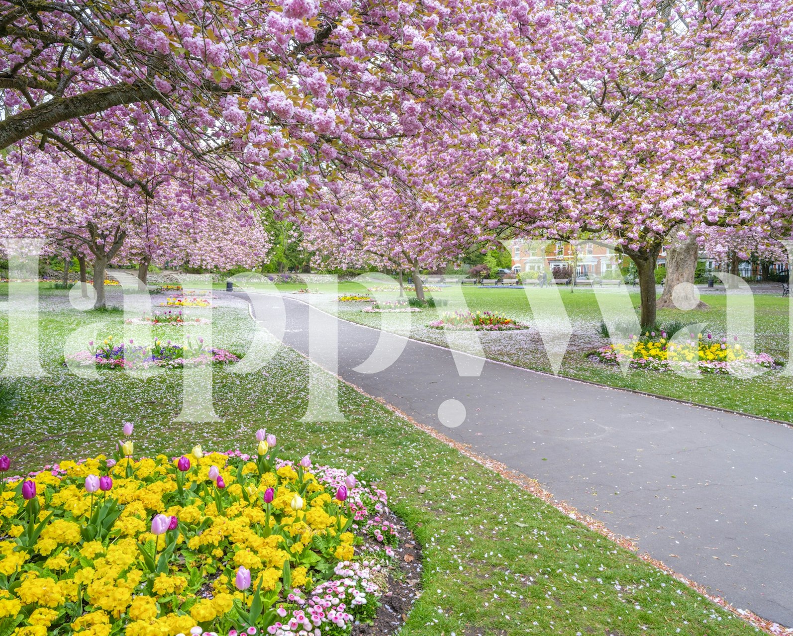 Carta da parati Park Prettiness in una stanza