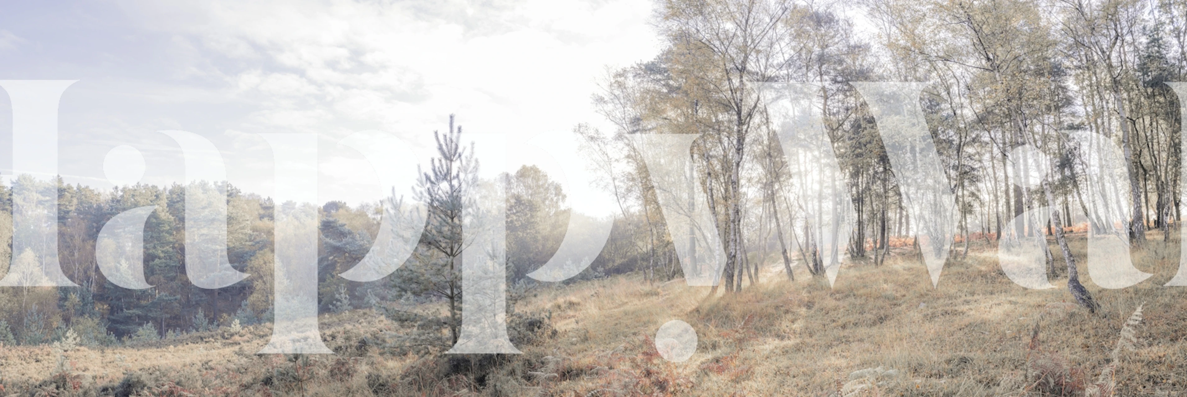 papier peint Nature's Cathedral dans une pièce