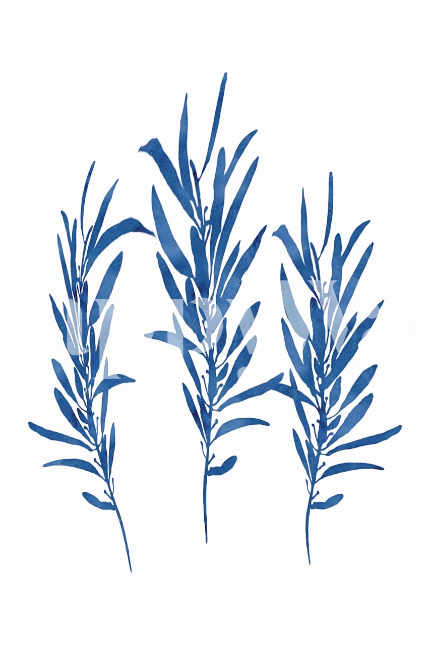 Blue eucalyptus branches on a white background wallpaper