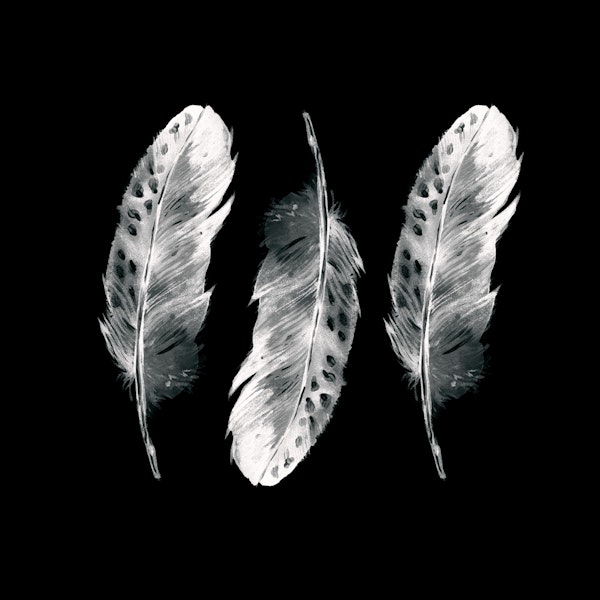 Three Feathers on black