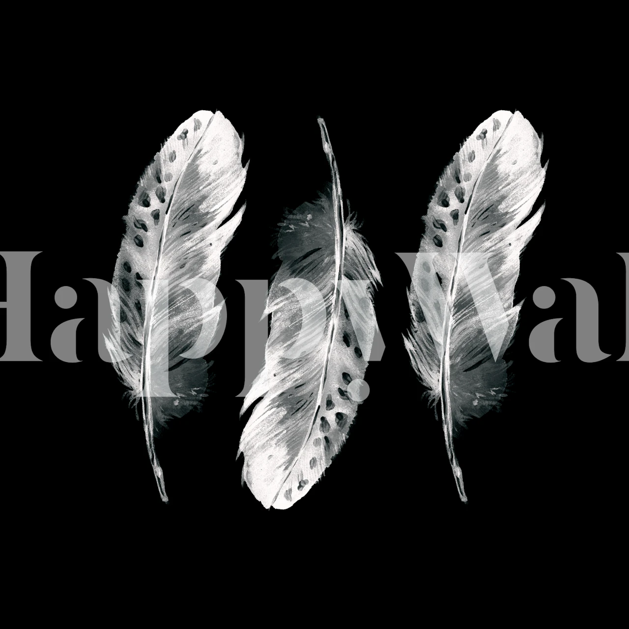 Tre fjädrar på svart