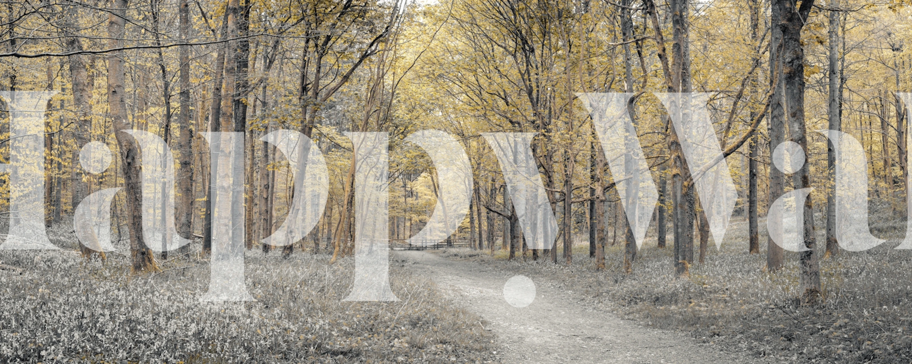 Golden forest path wallpaper in a room