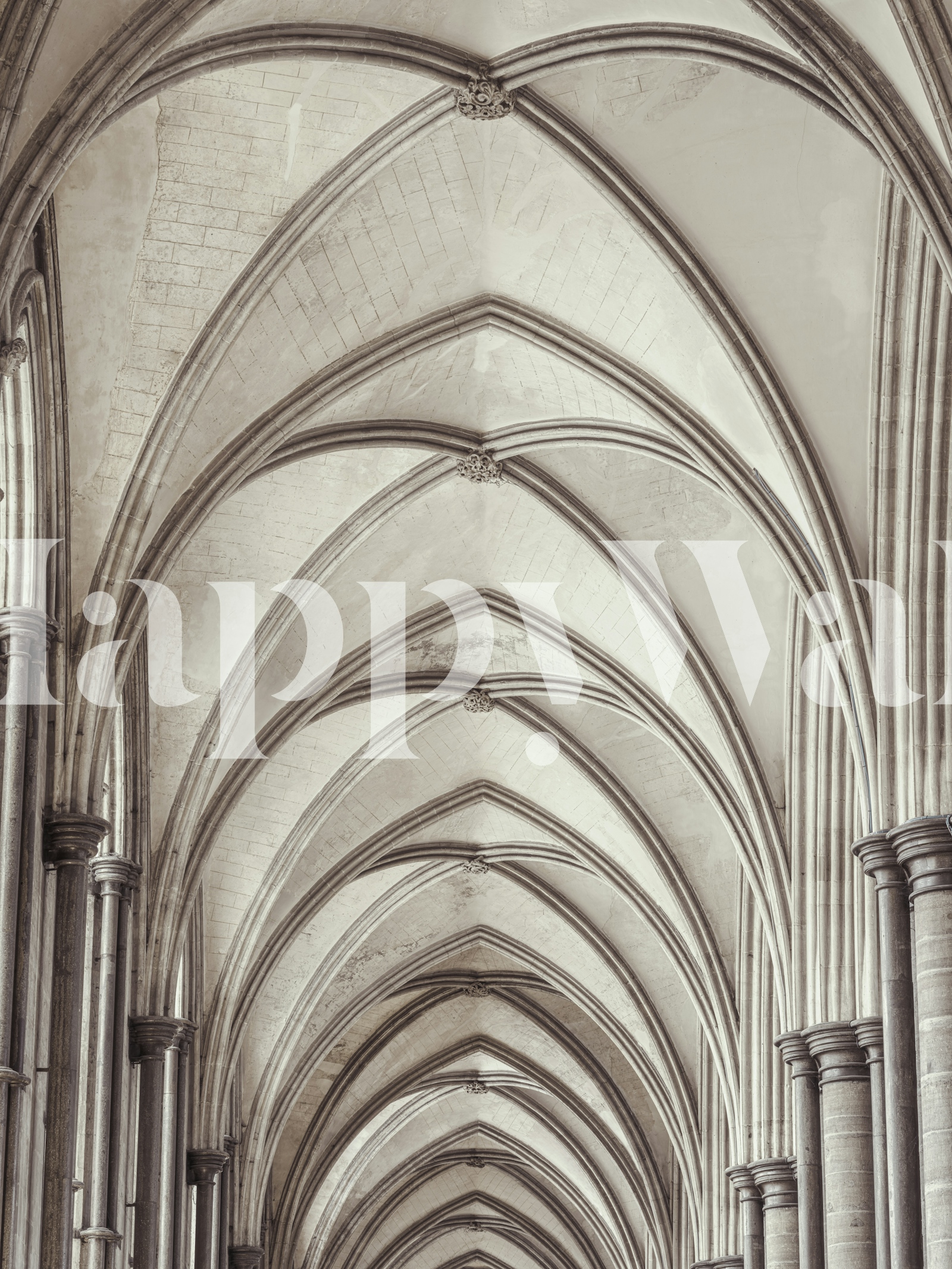 Elegant Wallpaper Vaulted Ceiling Designs for Modern Spaces