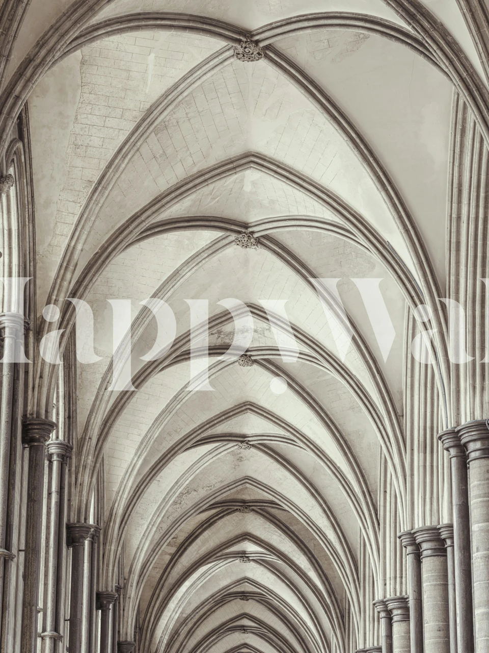 Arching ceiling design in gray tones wallpaper