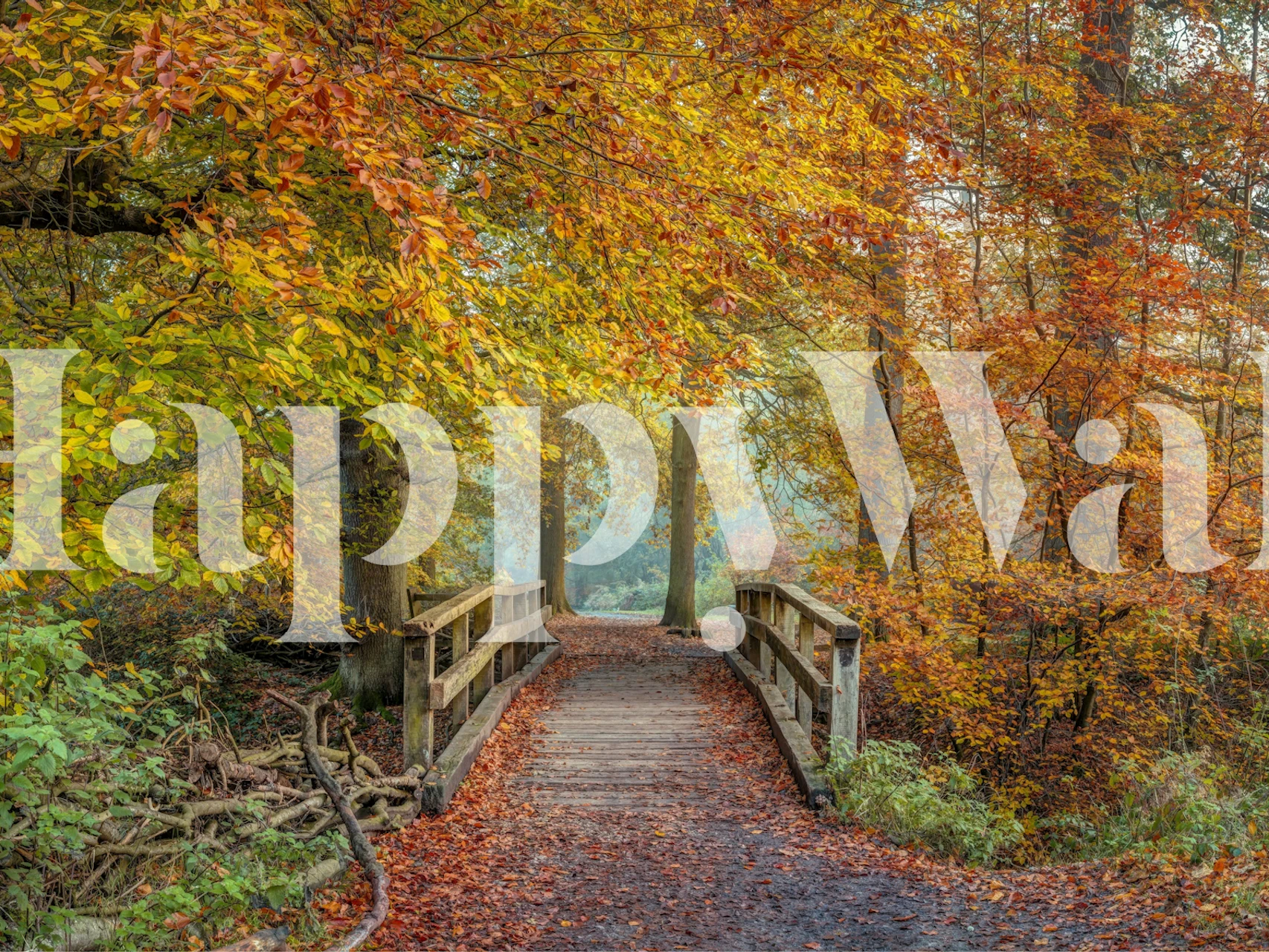 Wooden bridge surrounded by autumn trees in orange and yellow wallpaper