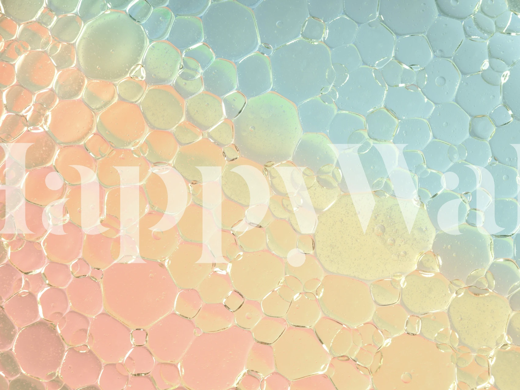 Colorful honeycomb pattern in pastel shades wallpaper
