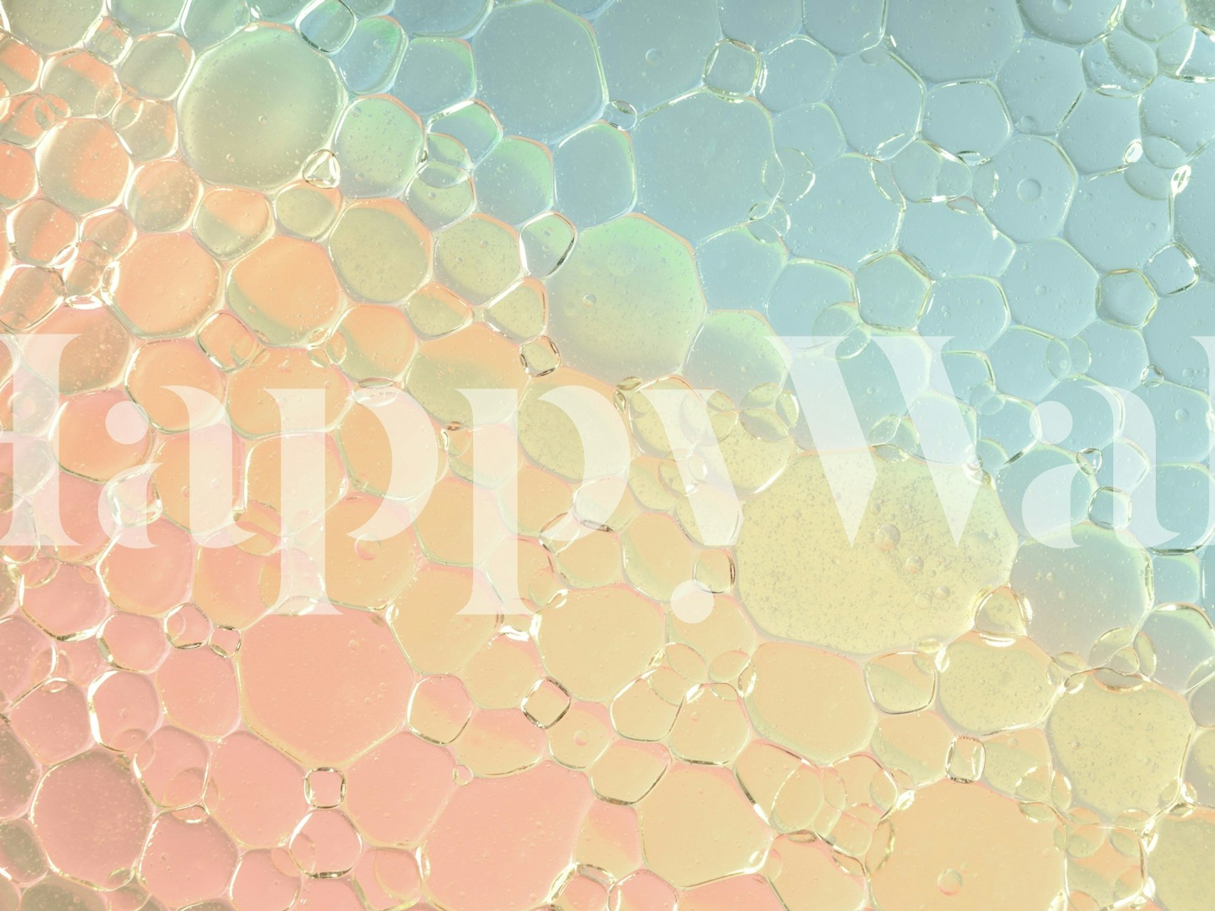 Colorful honeycomb pattern in pastel shades wallpaper